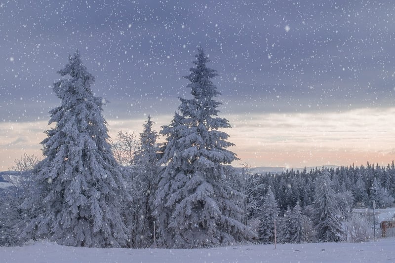 Magic-Inspired Landscapes