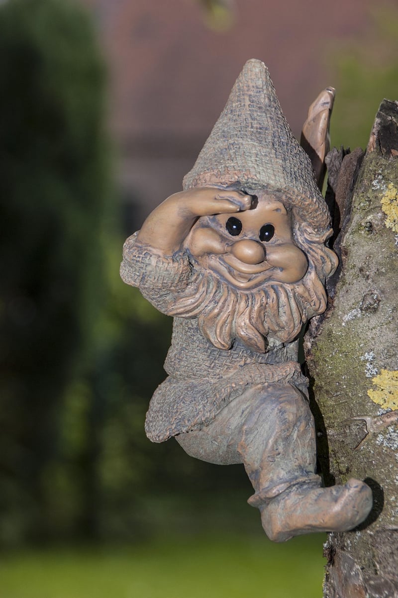 Gnome