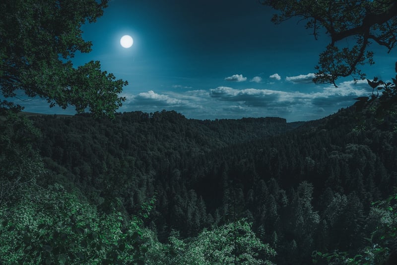 Magic-Inspired Landscape