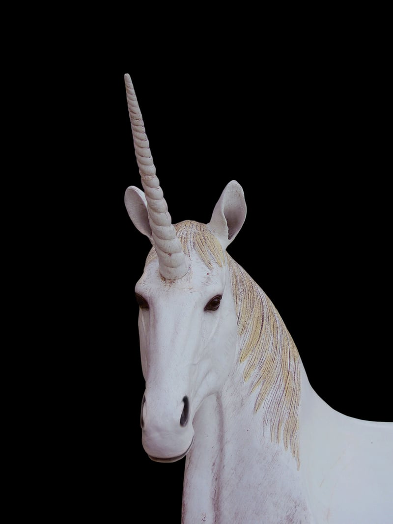 Unicorn Horn Soil Scoop